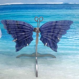 49G 100%Natural Blue Aventurine Quartz Crystal Butterfly Mini Wings+Stand Riki